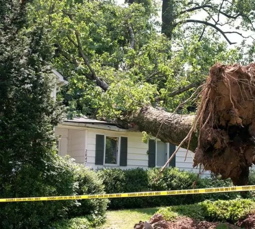 storm-damage-repair-services